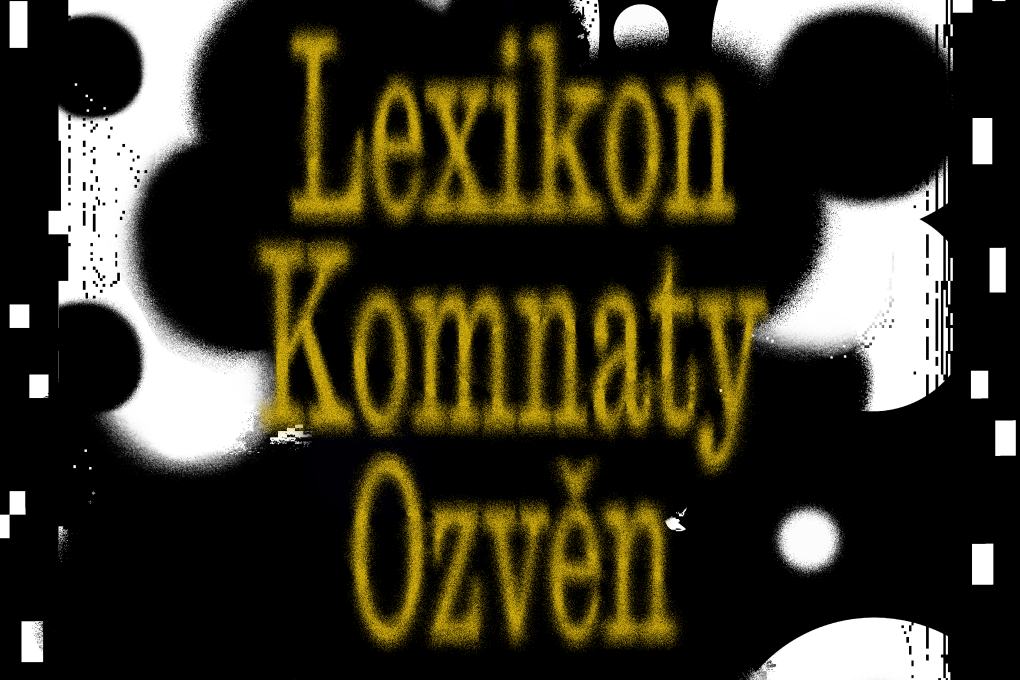 Echo Chamber Lexicon